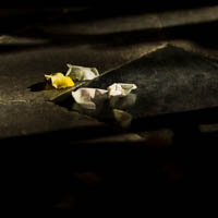 le mariage de Marie et Nathan, Stanislas Verhaegen, photographe à Namur