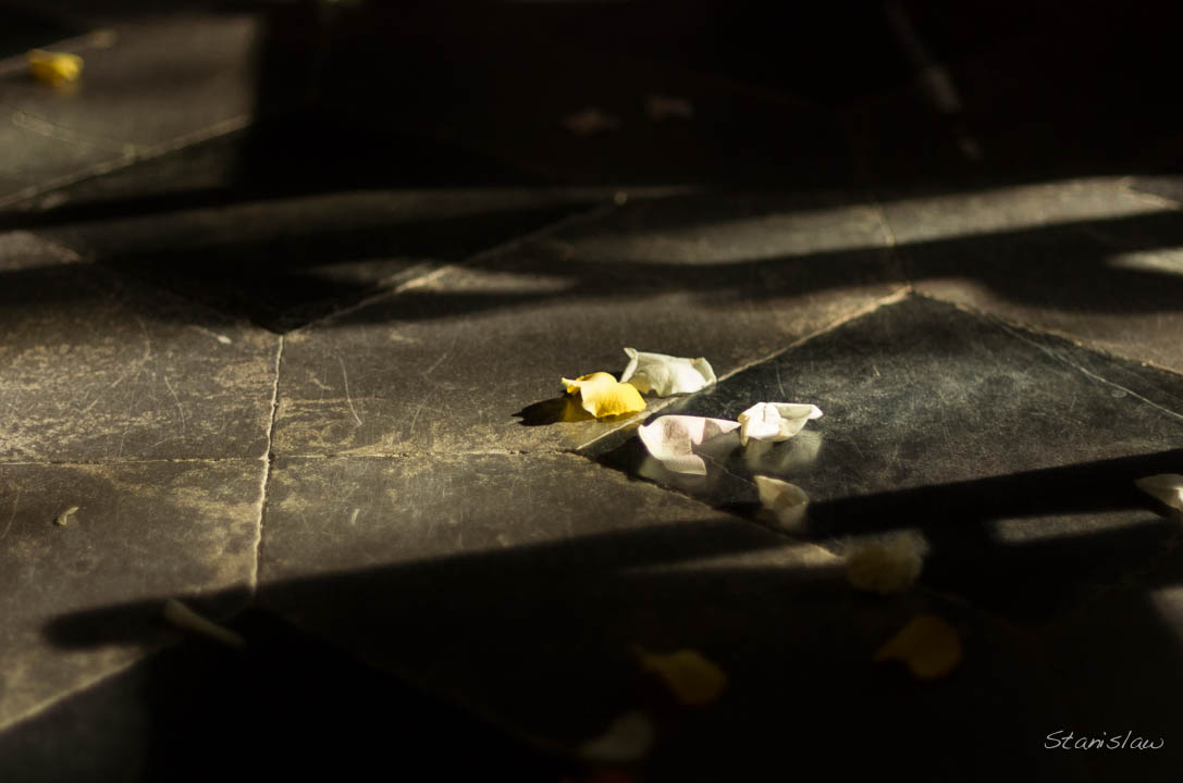le mariage de Marie et Nathan, photographie de Stanislas Verhaegen