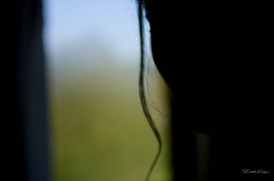 le mariage de Marie et Nathan, photographie de Stanislas Verhaegen